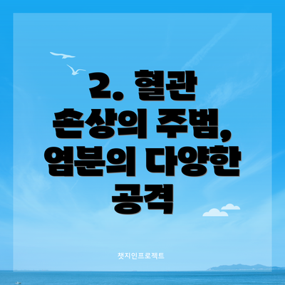 2. 혈관 손상의 주범, 염분의 다양한 공격