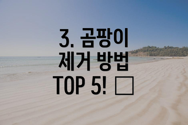 3. 곰팡이 제거 방법 TOP 5! 💪