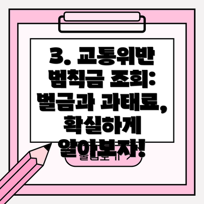 3. 교통위반 범칙금 조회:  벌금과 과태료,  확실하게 알아보자!