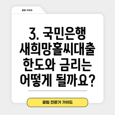 3. 국민은행 새희망홀씨대출 한도와 금리는 어떻게 될까요?