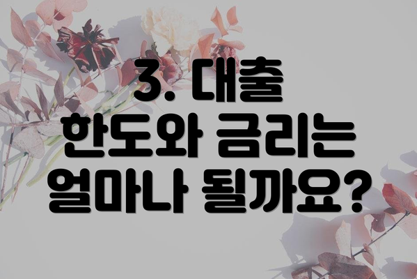 3. 대출 한도와 금리는 얼마나 될까요?