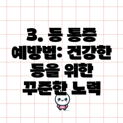 3. 등 통증 예방법: 건강한 등을 위한 꾸준한 노력