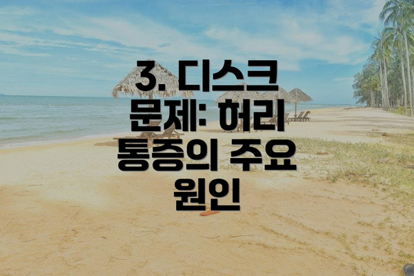 3. 디스크 문제: 허리 통증의 주요 원인