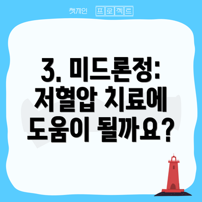 3. 미드론정: 저혈압 치료에 도움이 될까요?