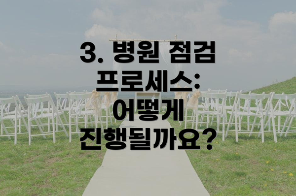 3. 병원 점검 프로세스:  어떻게 진행될까요?