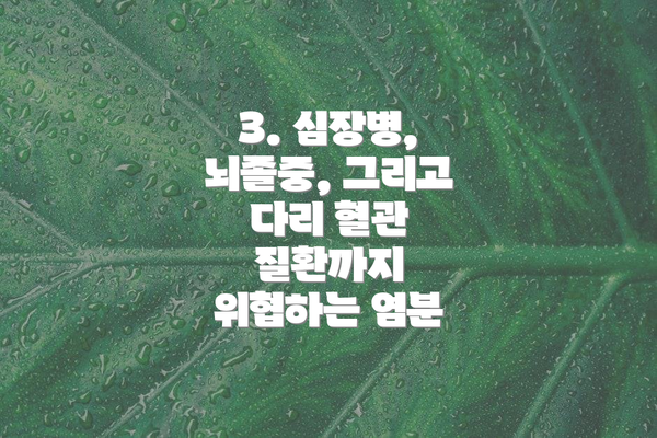 3. 심장병, 뇌졸중, 그리고 다리 혈관 질환까지 위협하는 염분