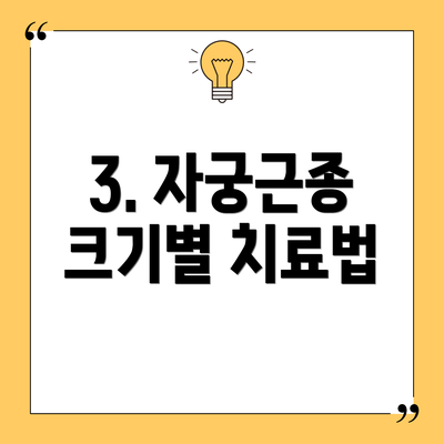 3. 자궁근종 크기별 치료법