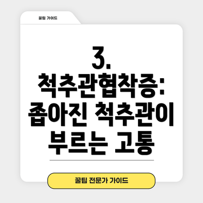 3. 척추관협착증: 좁아진 척추관이 부르는 고통