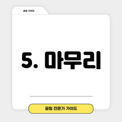 5. 마무리