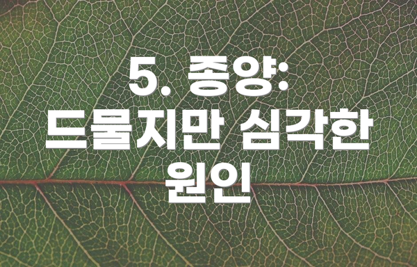 5. 종양: 드물지만 심각한 원인