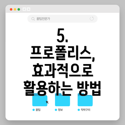 5. 프로폴리스, 효과적으로 활용하는 방법
