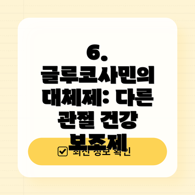 6. 글루코사민의 대체제: 다른 관절 건강 보조제