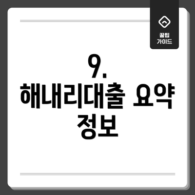 9.  해내리대출 요약 정보
