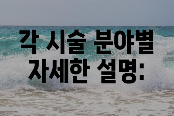 각 시술 분야별 자세한 설명: