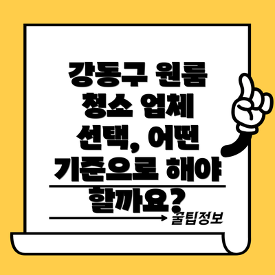 강동구 원룸 청소 업체 선택, 어떤 기준으로 해야 할까요?