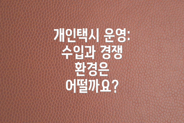 개인택시 운영:  수입과 경쟁 환경은 어떨까요?