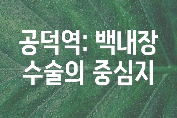 공덕역: 백내장 수술의 중심지