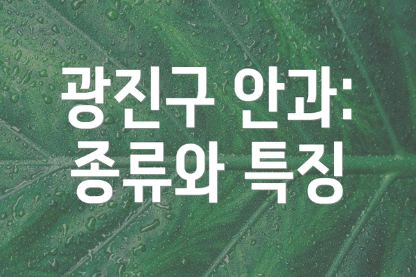 광진구 안과:  종류와 특징