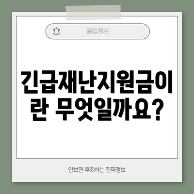 긴급재난지원금이란 무엇일까요?