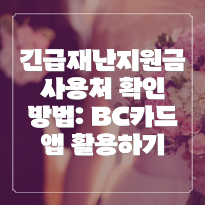긴급재난지원금 사용처 확인 방법: BC카드 앱 활용하기