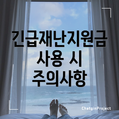 긴급재난지원금 사용 시 주의사항
