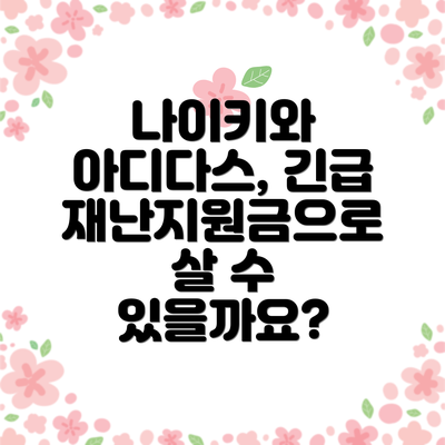 나이키와 아디다스, 긴급재난지원금으로 살 수 있을까요?