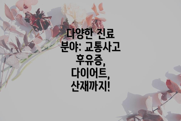 다양한 진료 분야: 교통사고 후유증, 다이어트, 산재까지!