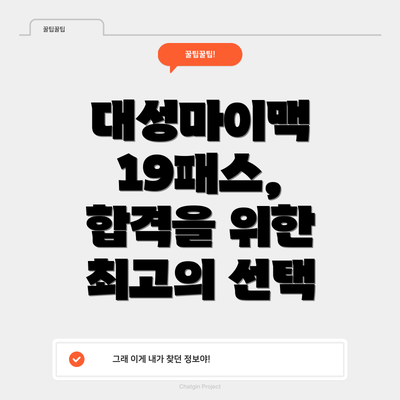 대성마이맥 19패스,  합격을 위한 최고의 선택