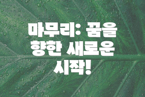 마무리: 꿈을 향한 새로운 시작!