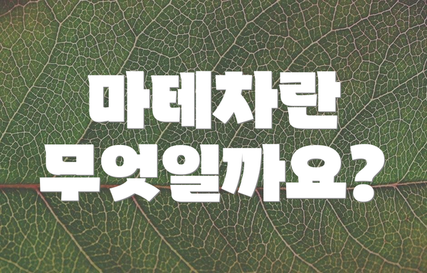 마테차란 무엇일까요?