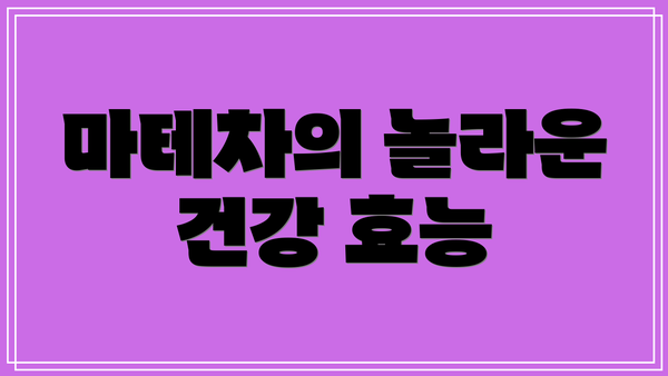 마테차의 놀라운 건강 효능