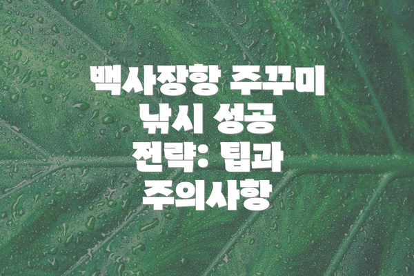 백사장항 주꾸미 낚시 성공 전략: 팁과 주의사항