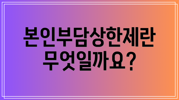 본인부담상한제란 무엇일까요?