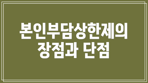 본인부담상한제의 장점과 단점