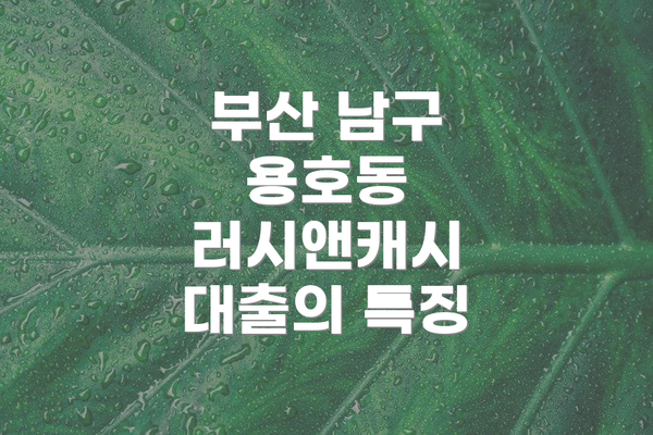 부산 남구 용호동 러시앤캐시 대출의 특징