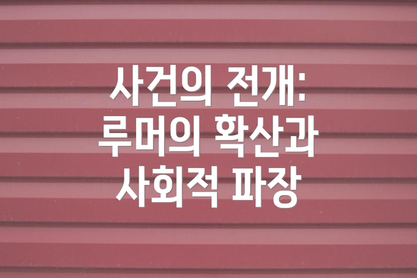 사건의 전개: 루머의 확산과 사회적 파장