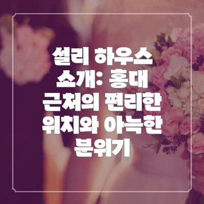 설리 하우스 소개: 홍대 근처의 편리한 위치와 아늑한 분위기