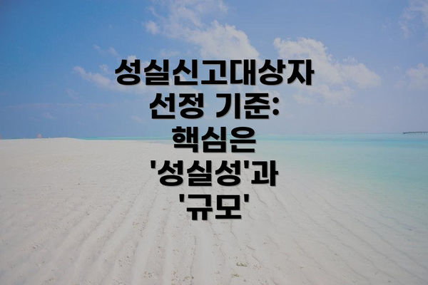 성실신고대상자 선정 기준: 핵심은 '성실성'과 '규모'