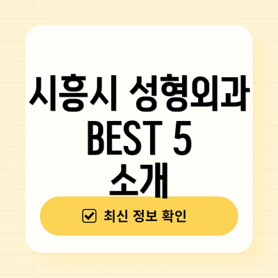 시흥시 성형외과 BEST 5 소개