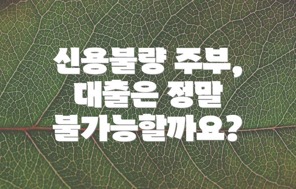 신용불량 주부, 대출은 정말 불가능할까요?