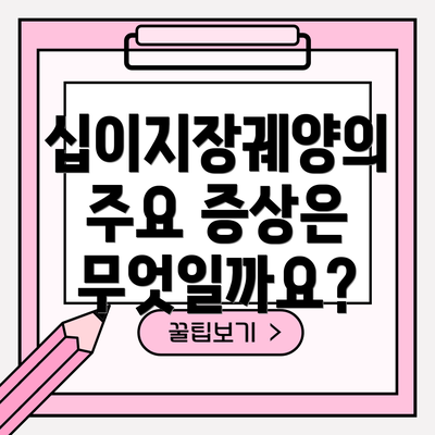 십이지장궤양의 주요 증상은 무엇일까요?