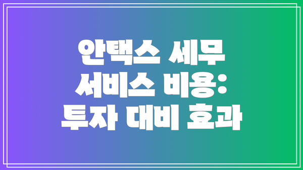 안택스 세무 서비스 비용: 투자 대비 효과