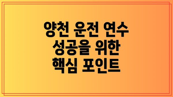 양천 운전 연수 성공을 위한 핵심 포인트
