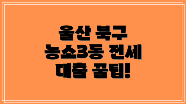 울산 북구 농소3동 전세 대출 주의사항