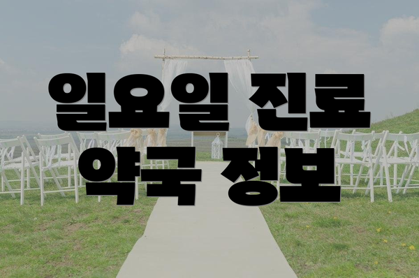 일요일 진료 약국 정보