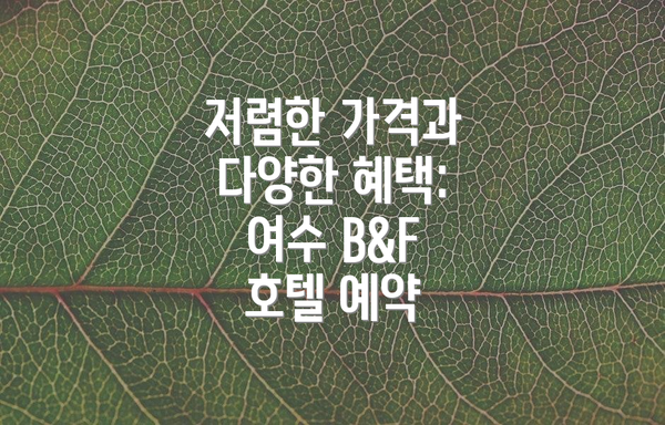 저렴한 가격과 다양한 혜택: 여수 B&F 호텔 예약