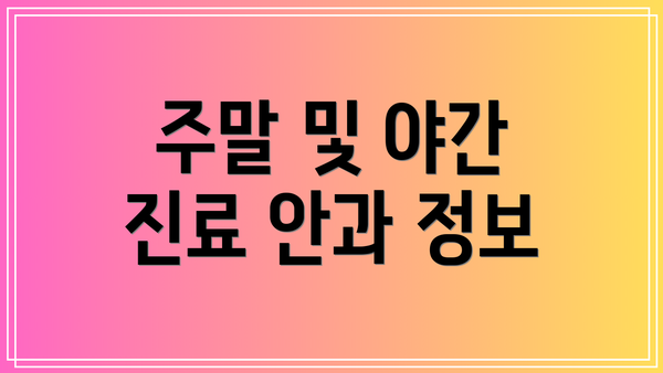 주말 및 야간 진료 안과 정보