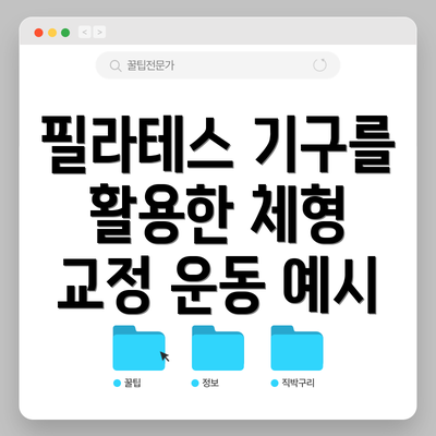 필라테스 기구를 활용한 체형 교정 운동 예시