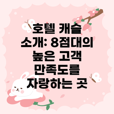 호텔 캐슬 소개: 8점대의 높은 고객 만족도를 자랑하는 곳