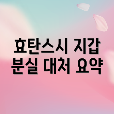 효탄스시 지갑 분실 대처 요약